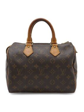 Louis Vuitton Monogram Speedy 25 Mini Boston Bag